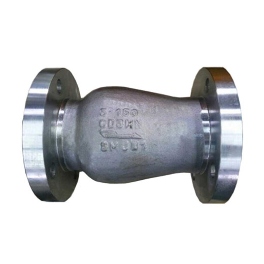 Nozzle Check Valve